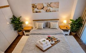 Lazar Loft